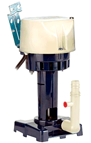 542005